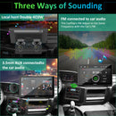 CARPURIDE Wireless Portable Car Stereo with Light-Sensitive,Dual 4Ω3W speakers, 9 Inch IPS Touchscreen Car Radio Receiver Works with Carplay/Android Auto/Mirror Link/Bluetooth/Google/Siri/WiFi/GPS Navigation